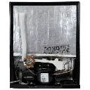 13.webp