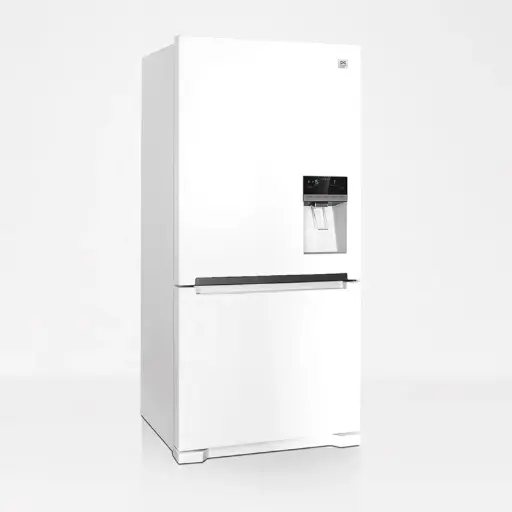 یخچال فریزر کمبی دوو مدل D2BF - 0291 